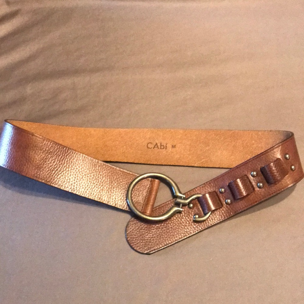 CAbi belt